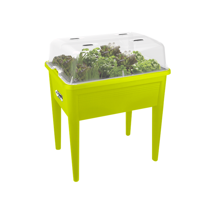 green basics anzucht tisch super xxl lime grün